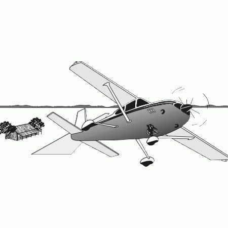 FlightAce Country Airstrip Guide
